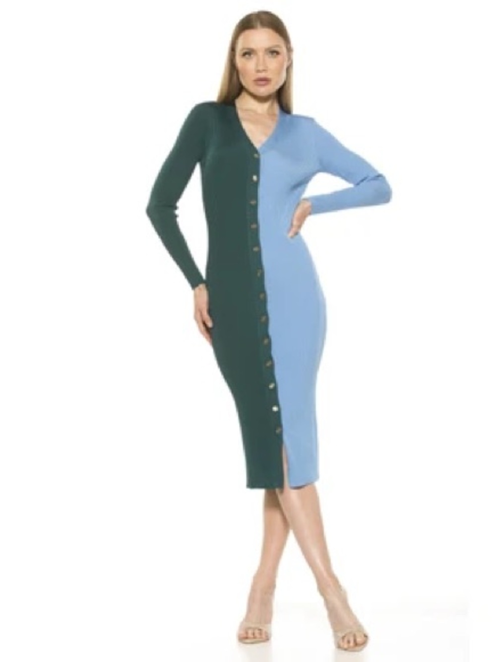 Alexia Admor Two-Tone Dress